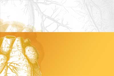 El papel bacteriano en la arterogénesis