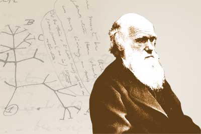 ''La evolución en acción''