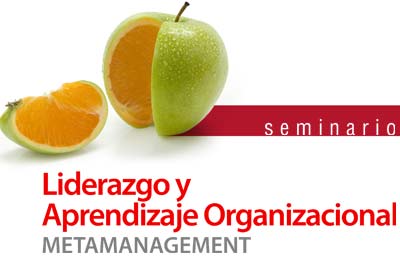 Liderazgo y Aprendizaje Organizacional ''Metamanagement''