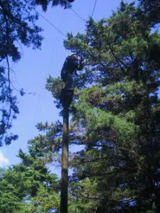 051124_escuela_de_negocios