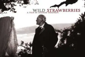 100908_clubdecine_wildstrawberries