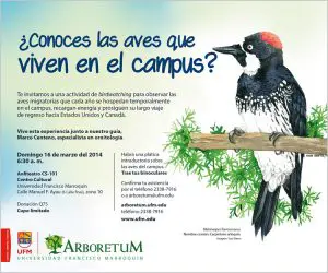 140310_ufm_arboretum_birdwa