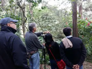 snoticiasrsimagersargsbdbirdnormalrsargsbd