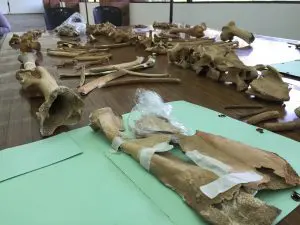 snoticiasrsimagersargsbdimg_4687.jpgrsargsbd