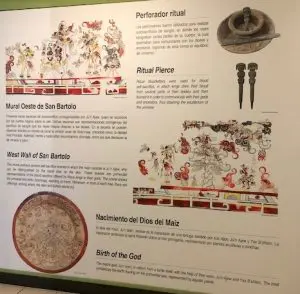 autosacrificio-san-bartolo-museo-popol-vuh