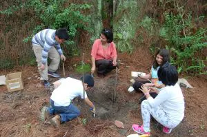 Taller libre_25jun_1