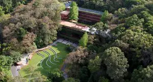 foto-ufm-por-harry-diaz