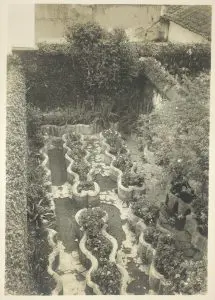 jardin-de-hierbas-cas-popenoe-ufm