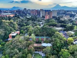 260315-ufm-harry-diaz