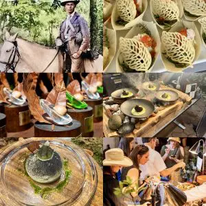 260408-festival-del-aguacate-a