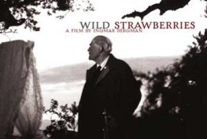 100908_clubdecine_wildstrawberries