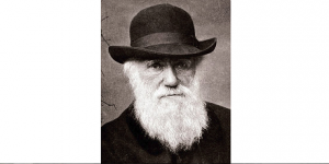 darwin day thumb