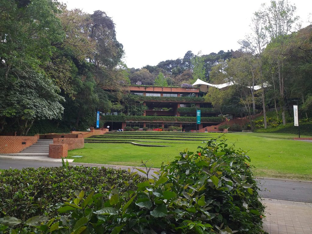 Jardín Manuel F. Ayau. Foto por Harry Diaz.