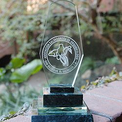 050215_trofeo_orquideas