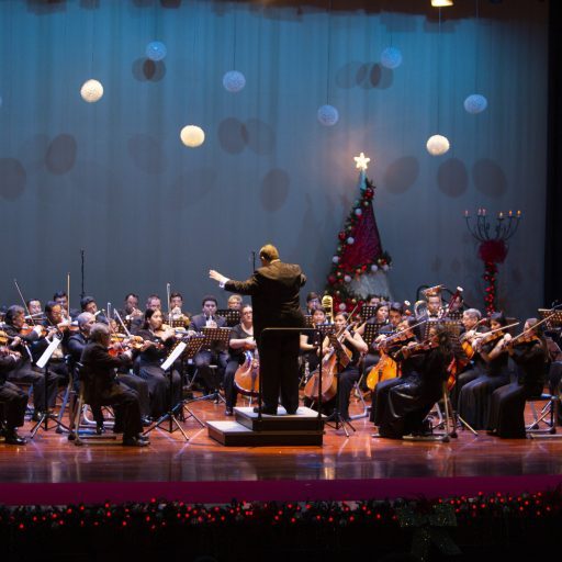 1. Ricardo del Carmen F., director titular