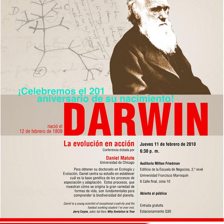 100208_evolucionenaccion