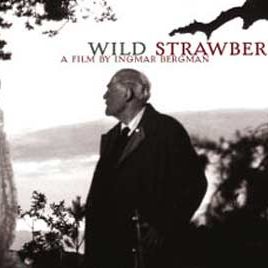 100908_clubdecine_wildstrawberries