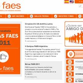 101005_faes