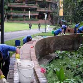 101105_ufm_mantenimiento