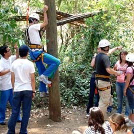 110819_ufm_cex-montesori