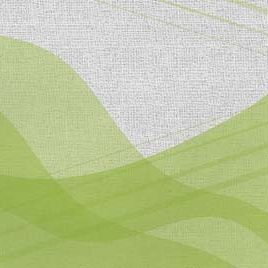 110919_ufm_fce_laissez-faire