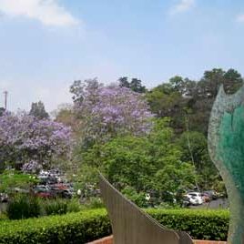 120326_ufm_arboretum