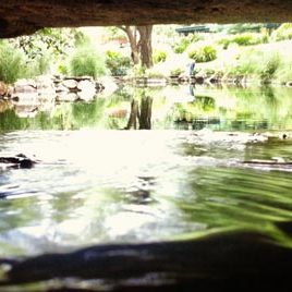 121030_ufm_derecho_superfluo