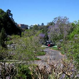 130225_ufm_arboretum-t