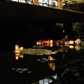 130325_ufm_biblioteca