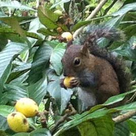 130610_ufm_arboretum