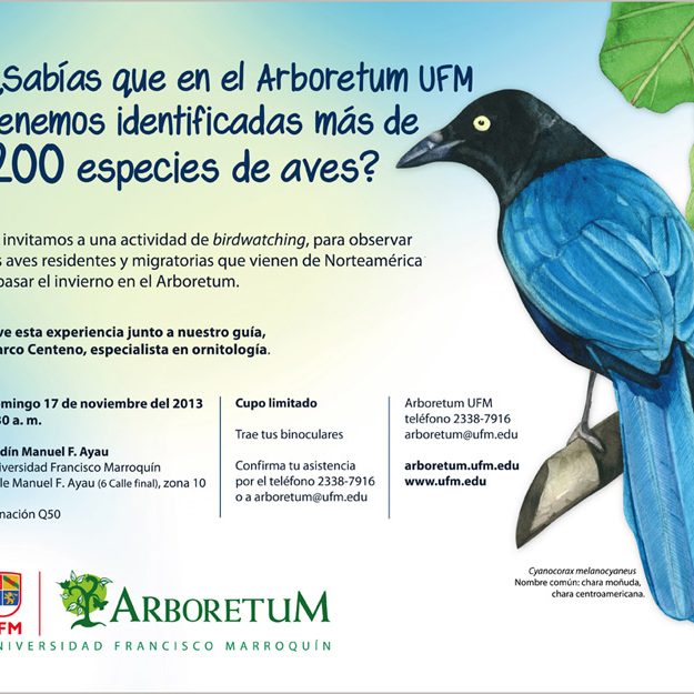 131106_ufm_arboretum_birdwa