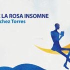 131108_ufm_biblioteca-t