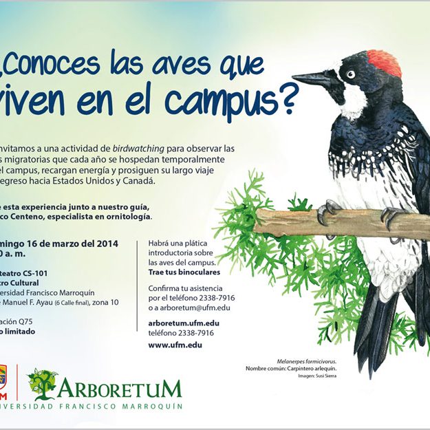 140310_ufm_arboretum_birdwa