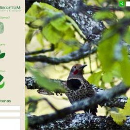 140312_ufm_arboretum