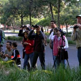 140326_ufm_arboretum