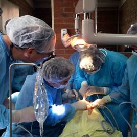 140728_ufm_odontologia