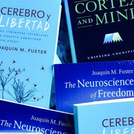 141106_ufm_ediciones_fuster