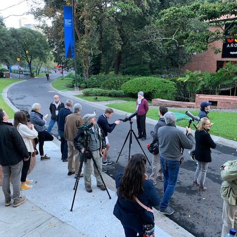 211117-observacion-de-aves-ufm