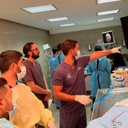 220907,-diseccioon-ufm