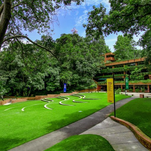 221129-jardin Ayau UFM, jpg