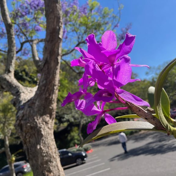 230210-guarianthe-skineri-ufm-2