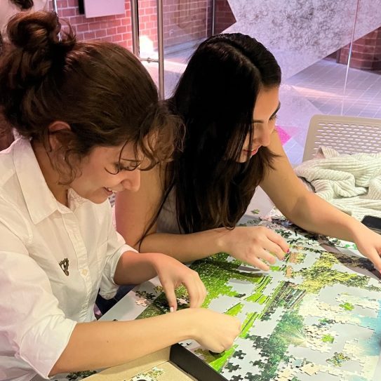 230307b-ufm-rompecabezas