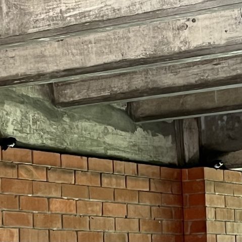 230315-ufm-carpinteros