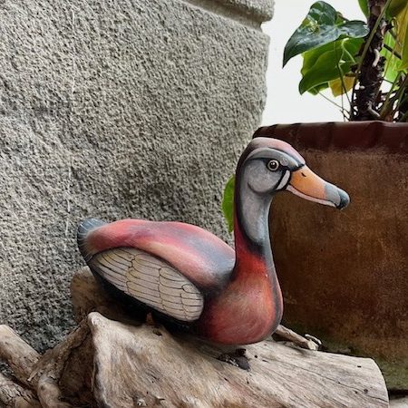 240131-pijije-casa-popenoe-cruz-enrique-españa-ufm-universidad-francisco-marroquin