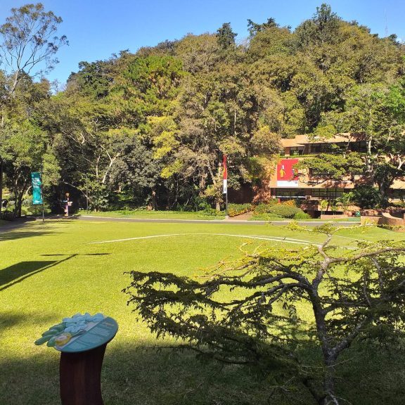 240202-jardin-manuel-ayau-ufm-universidad-francisco-marroquin