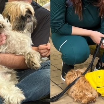 240807b-toffee-rocky