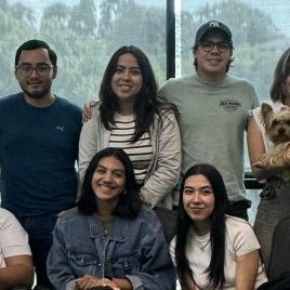 240830b-yorkshire-terrier-yorkie-ufm-arquitectura