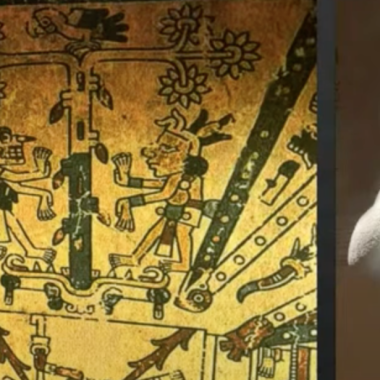 241023b-cacao-francisco-valdez-museo-popol-vuh-ufm