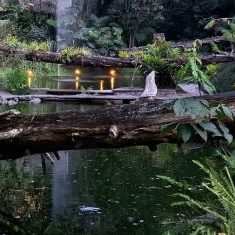 250319b-fuente-de-la-biblioteca-ufm