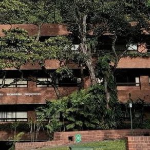 250626b-ufm-harry-diaz